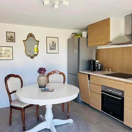 Aussergewoehnliche Katstelle Rheindamm An Der Xantener Nordsee * Xanten