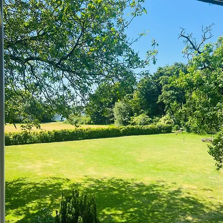 Aussergewoehnliche Katstelle Rheindamm An Der Xantener Nordsee Xanten