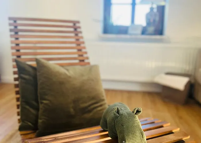 Aussergewoehnliche Katstelle Rheindamm An Der Xantener Nordsee * إكسانتن