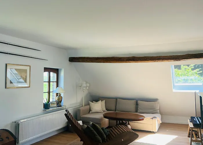 Aussergewoehnliche Katstelle Rheindamm An Der Xantener Nordsee إكسانتن