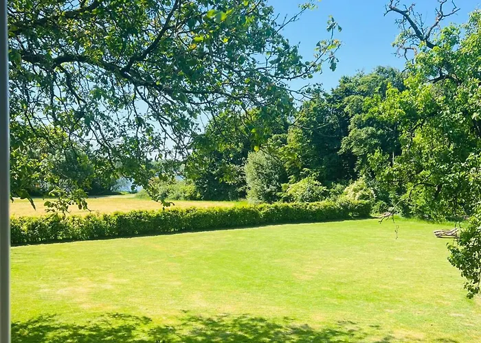 Aussergewoehnliche Katstelle Rheindamm An Der Xantener Nordsee إكسانتن